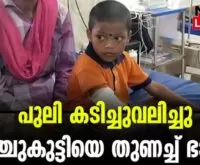 5 year old boy attacked by tiger valaparai