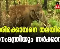 ELEPHANT ATTACK IN KERALA
