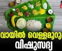 #thrissur #ambiswamy#newsleader #vishusadhya