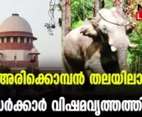 #arikomban #aksaseendran #newsleader #athirappilly