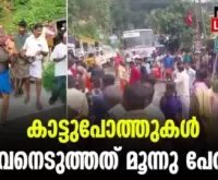 #wildbuffalo #kollam #newsleader #erumeli