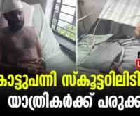 #wildboar #chelakkara #newsleader #malayalamnews