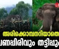 #arikkomban #onlinenews #newsleader #malayalamnews