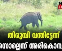 #arikomban #keralaforest #newsleader #kumali