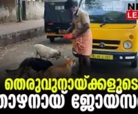#straydogs #onlinenews #newsleader #malayalamnews