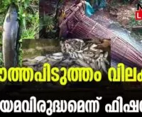 #fishing #monsoon2023 #newsleader #fisheriesdepartment