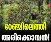 #arikomban#onlinenews #newsleader #malayalamnews