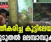 #thrissurzoo #indianpython #newsleader #malayalamnews