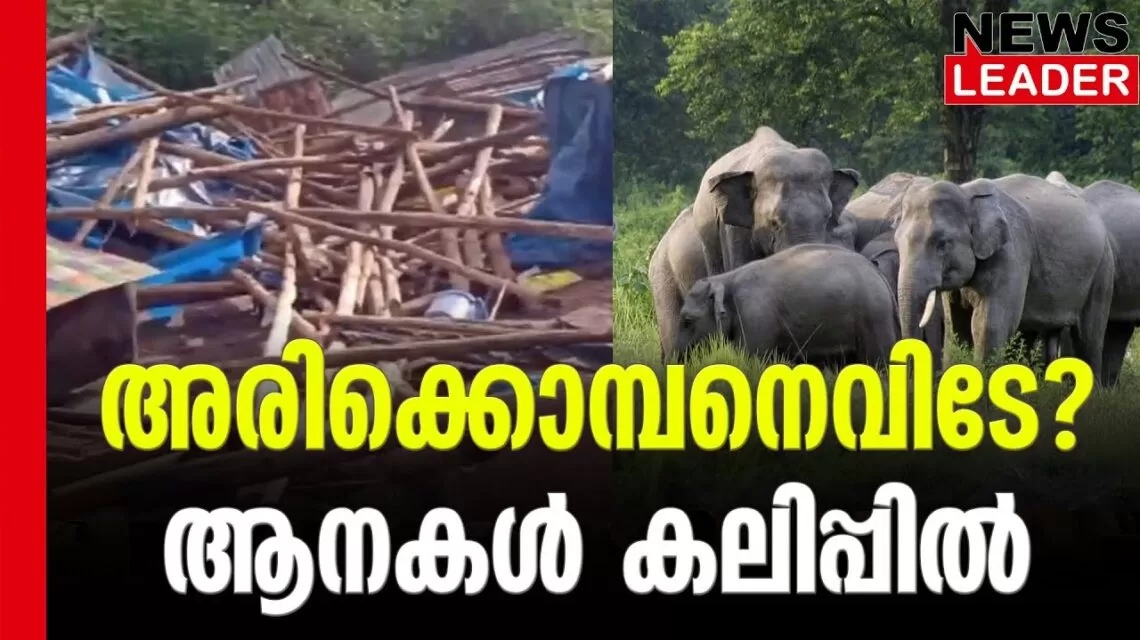 #arikkomban #onlinenews #newsleader #malayalamnews