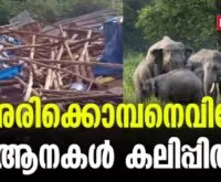 #arikkomban #onlinenews #newsleader #malayalamnews