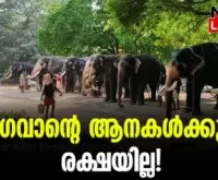 #thrissur #onlinenews #newsleader #malayalamnews