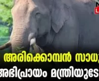 #arikombannews #tamilnaduforest #newsleader #arikomban