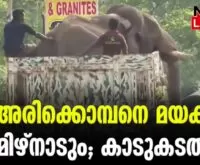 #arikkomban #tamilnaduforest #newsleader #arikombannews