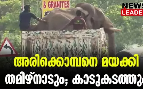 #arikkomban #tamilnaduforest #newsleader #arikombannews