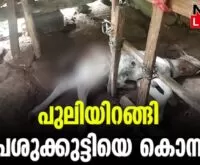 #leopardattack #varandarappilly #newsleader #palappilly