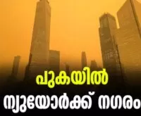 #canadaforestfire #newyork #newsleader #forestfire