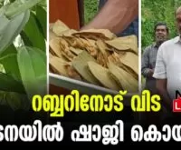 #vettilappara #edana #newsleader #vayanayila