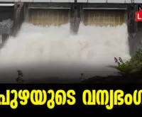 #chalakudynews #athirappillywaterfalls #newsleader #peringalkuthu