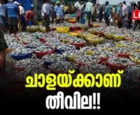 #keralaharbour #fisheriesdepartment #newsleader #trawling