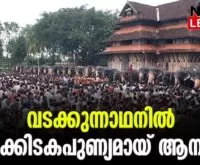 #vadakkumnadhan #anayoottu2023 #newsleader #vadakkunnathantemple
