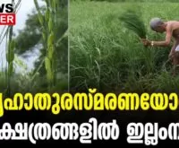 #illamnira #paramekkavu #newsleader #karkkidakam