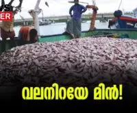 #keralafishing #trawling #newsleader #malayalamnews