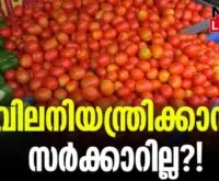 #tomatoprices #pricehike #newsleader #keralaagriculture