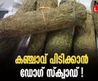 #narcotic #southernrailway #newsleader #rpf