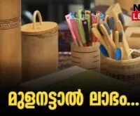 #bamboo #rbindu #newsleader #kfri