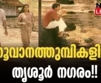 #thoovanathumbikal #padmarajan #newsleader #malayalammovie