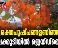 #jadevine #chalakkudy #newsleader #thrissur