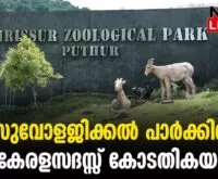 #thrissur #zoologicalpark #newsleader #malayalamnews #navakeralasadass #thrissurzoo