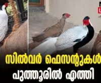 #thrissurzoologicalpark #thrissurzoo #newsleader #puthoorzoologicalpark