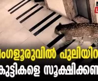 #bangalore #bangalorenews #newsleader #malayalamnews #leopard