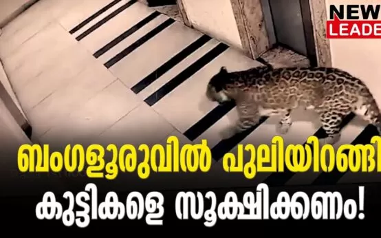#bangalore #bangalorenews #newsleader #malayalamnews #leopard