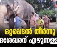 #guruvayoortemple #elephantsantuary #newsleader #malayalamnews #guruvayurdevaswom