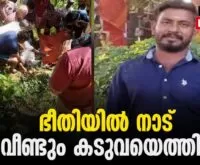 #thrissur #wayanad #newsleader #malayalamnews #tiger #tigerattack