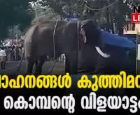 #thrissur #onlinenews #newsleader #malayalamnews #triprayar #elephant#thrissur #onlinenews #newsleader #malayalamnews #triprayar #elephant