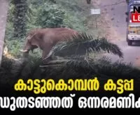 #thrissur #onlinenews #newsleader #malayalamnews #wildelephants #ezhattumugham #athirappillywaterfalls