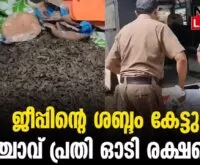 #thrissur #onlinenews #newsleader #malayalamnews #narcotics #excise