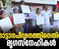 #thrissur #templeelephant #newsleader #spca #animallovers #guruvayurdevaswom #guruvayur