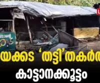 #thrissur #onlinenews #newsleader #wildelephants #thumboormuzhi #athirappillywaterfalls #athirappilly #vazhachal #keralaforestdepartment