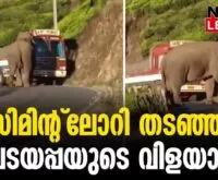 #thrissur #padayappa #newsleader #padayappaelephant #munnar #munnarhotels