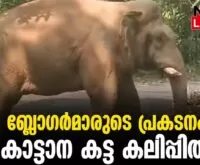#thrissur #onlinenews #newsleader #malayalamnews #wildelephants #blogger #athirappilly #chalakkudy #sholayar