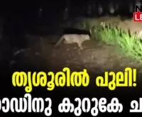 #thrissur #onlinenews #newsleader #malayalamnews #palappilly #varandarappily