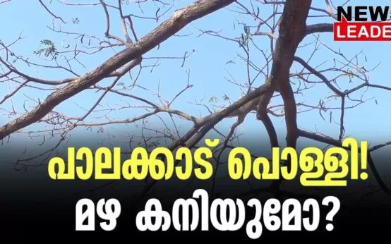 #thrissur #onlinenews #newsleader #malayalamnews #palakkad #hotclimate #keralaclimate