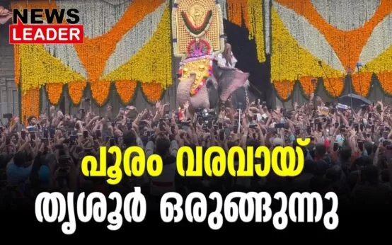 #thrissur #onlinenews #newsleader #malayalamnews #thrissurpooram2024 #thrissurpooram #paramekkavu #thriuvambadi #poorm #pandimelam #panchavadyam