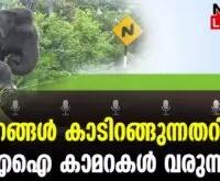 #thrissur #onlinenews #newsleader #aicamerakerala #wildelephants #palakkad #keralaforestdepartment