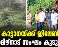 #thrissur #onlinenews #newsleader #malayalamnews #athirappilly #athirappillywaterfalls #keralaelephant #wildelephants #elephantattack2024 #athirappillyelephant